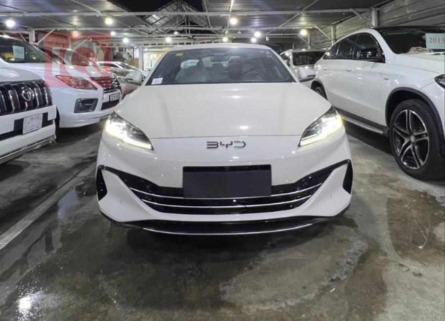 بي واي دي سيل 06 DM-i